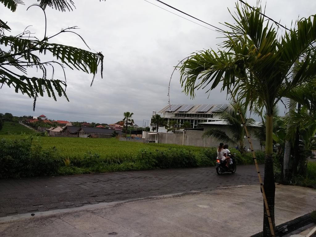 The Wina Guest House 2 Canggu Εξωτερικό φωτογραφία