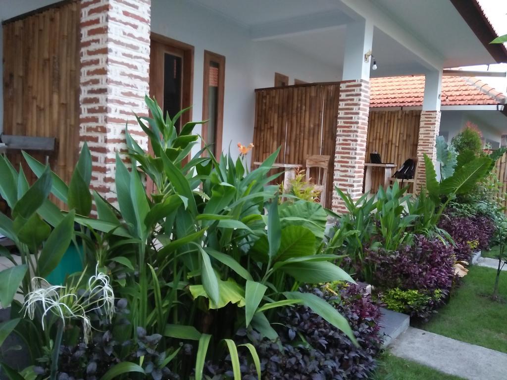 The Wina Guest House 2 Canggu Εξωτερικό φωτογραφία