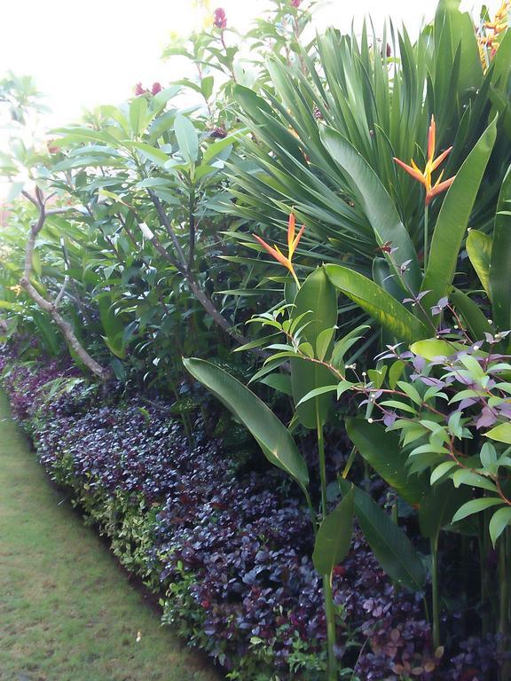 The Wina Guest House 2 Canggu Εξωτερικό φωτογραφία