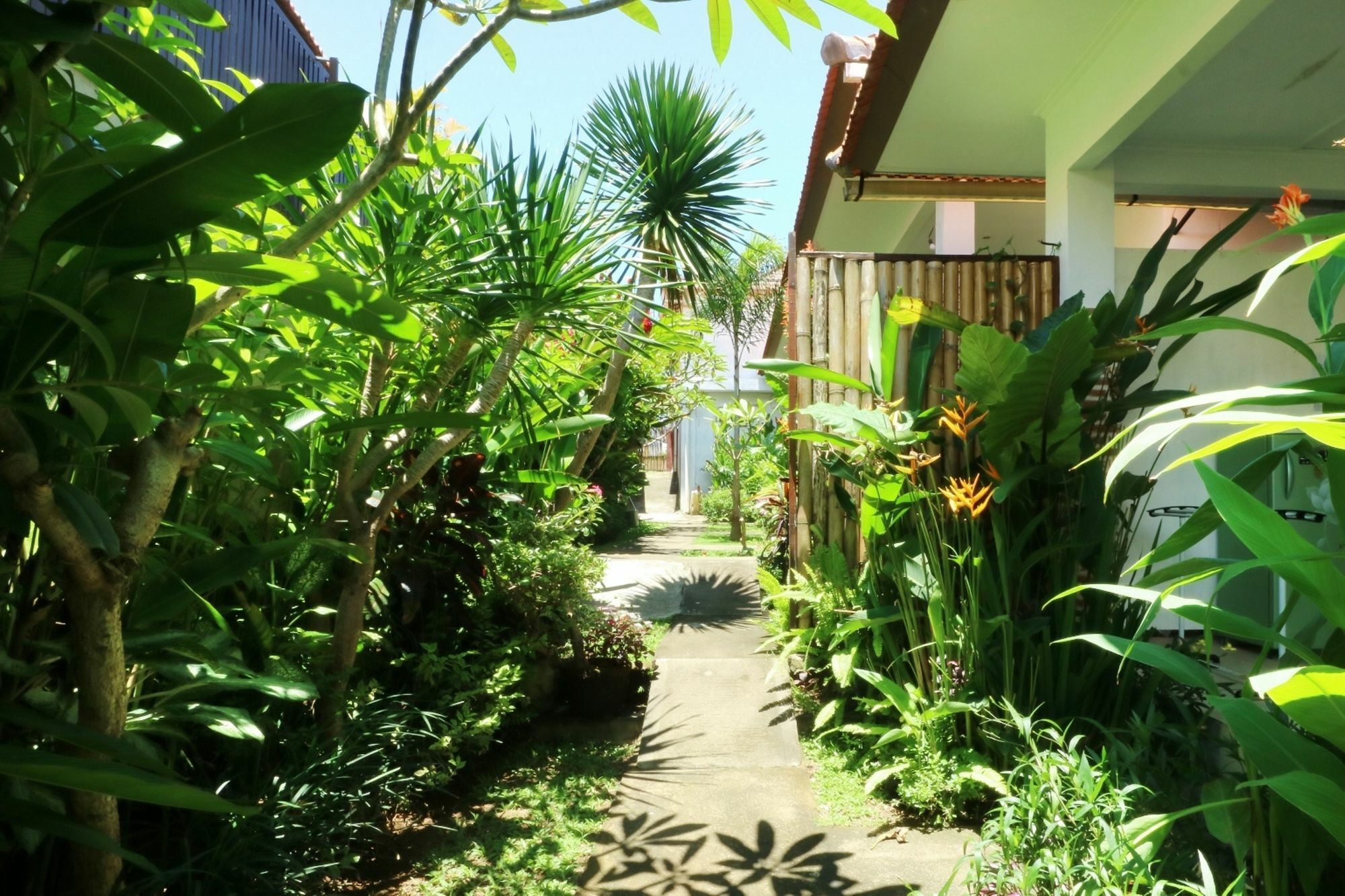 The Wina Guest House 2 Canggu Εξωτερικό φωτογραφία